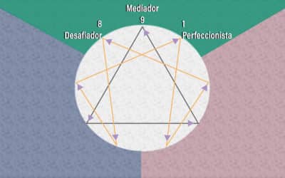 Flechas dos tipos instintivos do Eneagrama