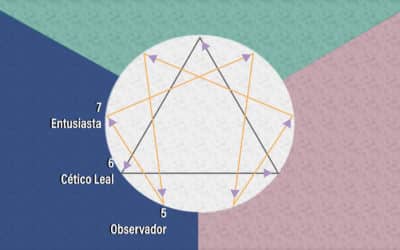 Flechas dos tipos mentais do Eneagrama